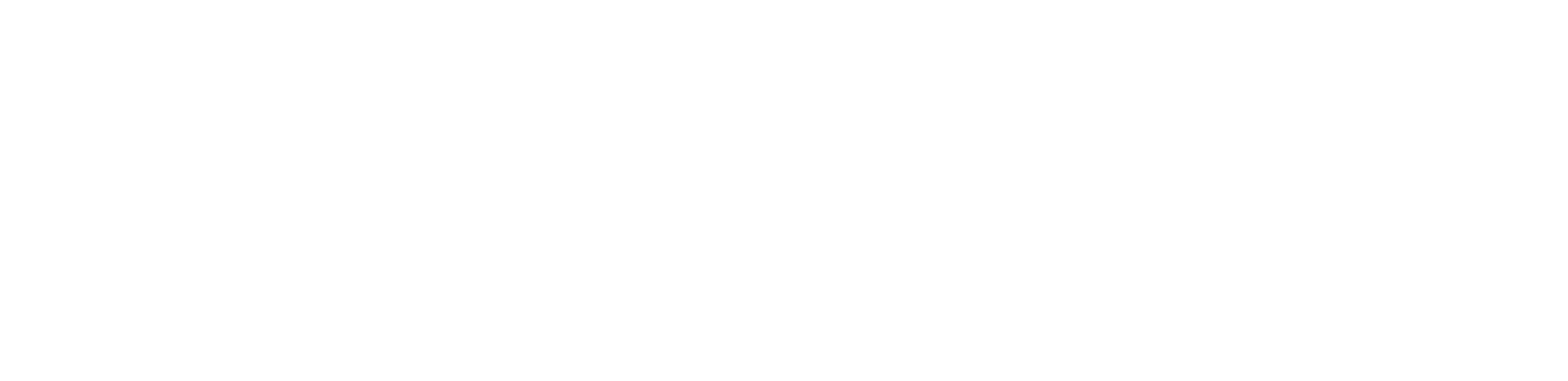 SSMT Logo