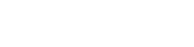 Timișoara Medical Students' Society (SSMT)