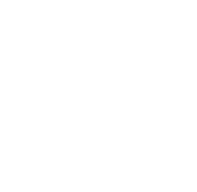 SSMT Logo